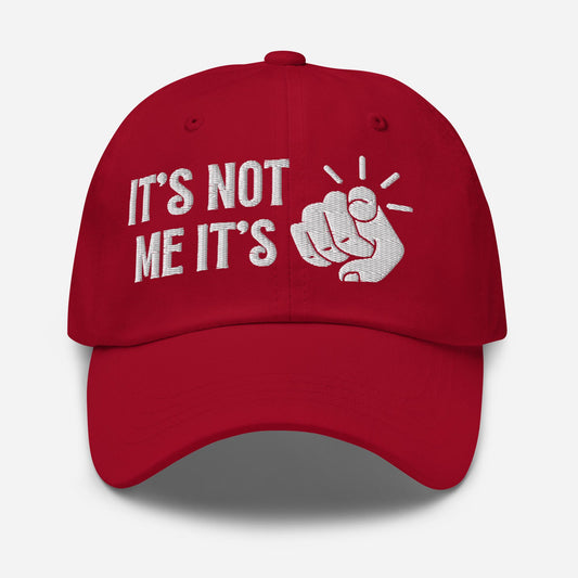 It’s Not Me It’s You Dad Hat – Adjustable Sassy Statement Cap