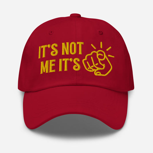 It’s Not Me It’s You Dad Hat – Adjustable Sassy Statement Cap